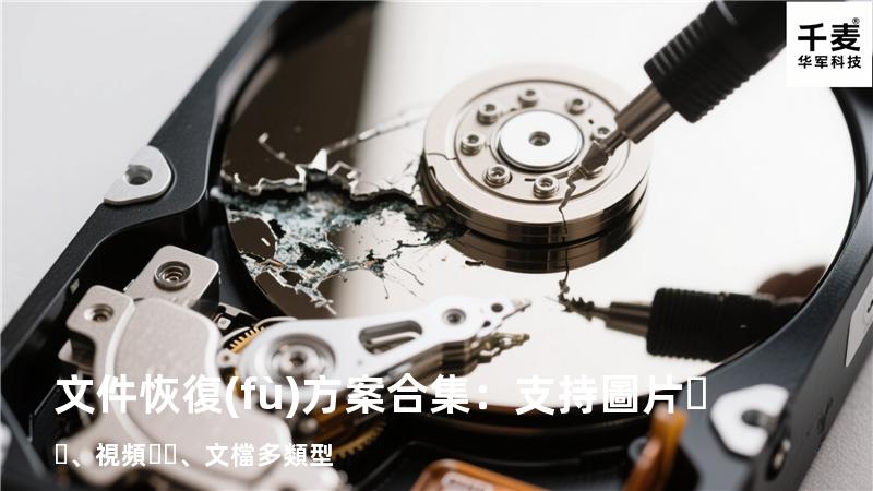 文件恢復(fù)方案合集：支持圖片、視頻、文檔多類型 